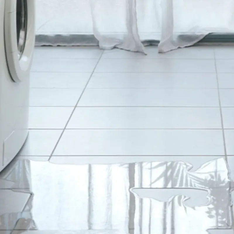Appliance Leak Cleanup in Baraboo, WI