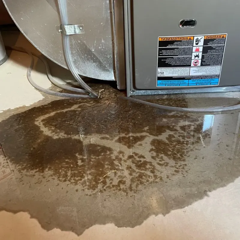 Pipe Burst and Leak Restoration in Baraboo, WI